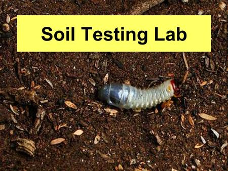 Soil Testing Lab. Purpose You will determine: 1.Soil composition 2.Soil pH 3.Soil Macronutrients.