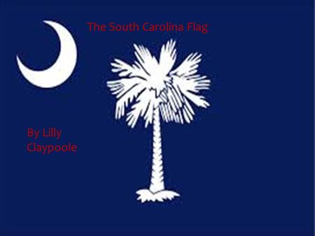 The South Carolina Flag Lilly Claypoole The South Carolina Flag By Lilly Claypoole.
