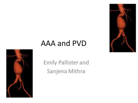 AAA and PVD Emily Pallister and Sanjena Mithra. The plan… Cases Basic facts you probably already know! Finals style tasks.