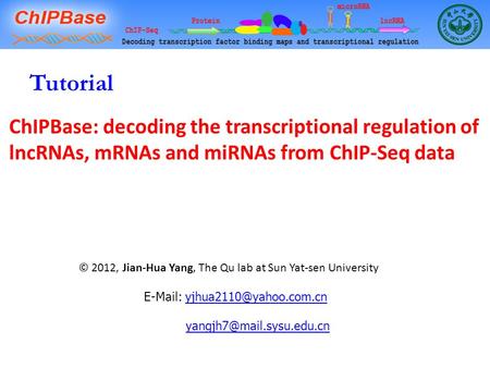 Tutorial    ChIPBase: decoding the transcriptional regulation of lncRNAs, mRNAs.