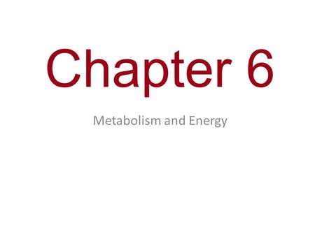 Chapter 6 Metabolism and Energy.