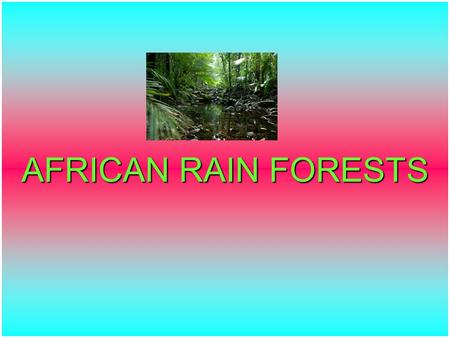 AFRICAN RAIN FORESTS. What is causing the rainforests of africa to disappear What percent of the rainforests are already. 90% is already disappeared.its.