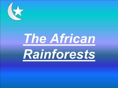 The African Rainforests