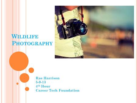 W ILDLIFE P HOTOGRAPHY Rae Harrison 5-9-13 4 th Hour Career Tech Foundation.