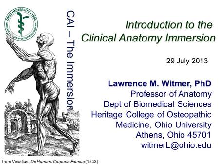 Introduction to the Clinical Anatomy Immersion Lawrence M. Witmer, PhD Professor of Anatomy Dept of Biomedical Sciences Heritage College of Osteopathic.