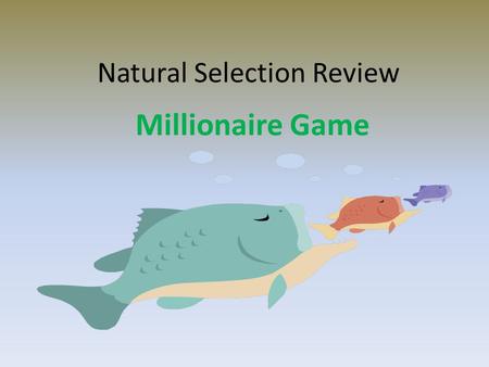 Natural Selection Review