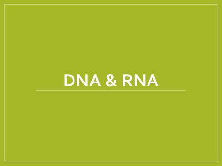 DNA & RNA. Objectives 3. Describe the structure of nucleic acids. 3.1 Describe the similarities and differences in the structure of DNA and RNA. 3.2 Describe.