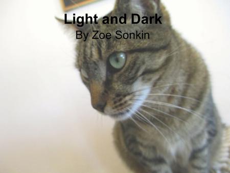 By Zoe Sonkin Light and Dark. Shelter Dogs and Cats vs. Household Dogs and Cats I often think of times in our lives when dog and cats are mistreated and.