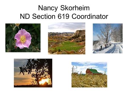Nancy Skorheim ND Section 619 Coordinator