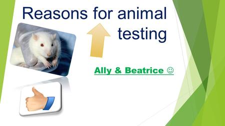 Reasons for animal testing