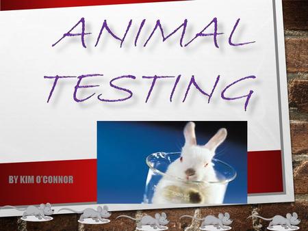 ANIMAL TESTING BY KIM O’CONNOR.