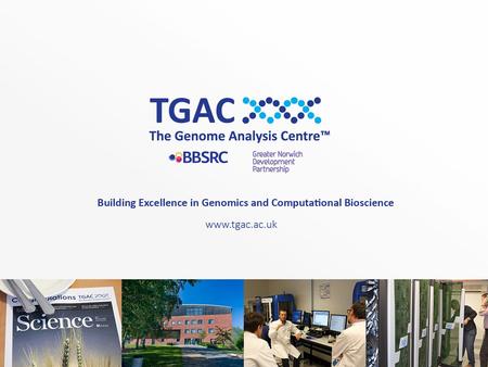 TGAC Training Coordination for the BBSRC Strategically-Funded Institutes Tanya Dickie: Bioinformatics & Biomathematics Training.