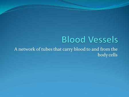 A network of tubes that carry blood to and from the body cells.