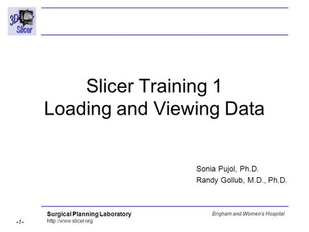 Surgical Planning Laboratory  -1- Brigham and Women’s Hospital Slicer Training 1 Loading and Viewing Data Sonia Pujol, Ph.D. Randy.