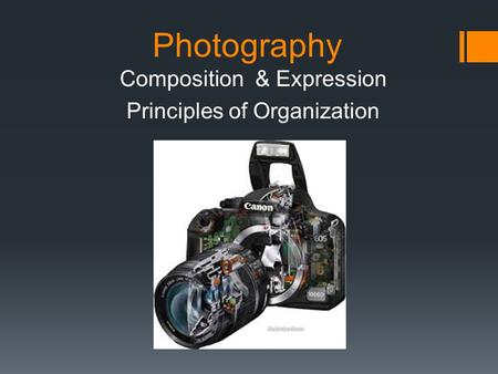 Photography Composition & Expression Principles of Organization.