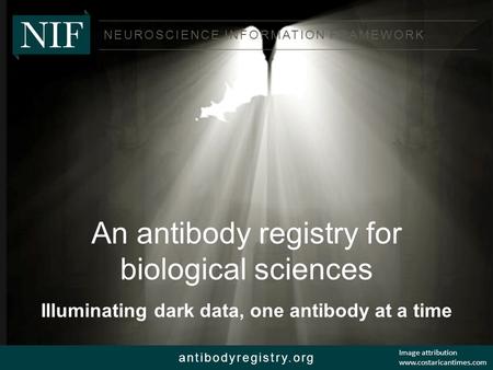 NEUROSCIENCE INFORMATION FRAMEWORK antibodyregistry.org An antibody registry for biological sciences Illuminating dark data, one antibody at a time Image.