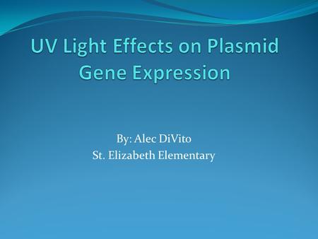 By: Alec DiVito St. Elizabeth Elementary. Problem Does UV light damage plasmid DNA and alter gene expression?