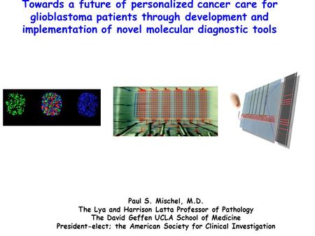 Towards a future of personalized cancer care for glioblastoma patients through development and implementation of novel molecular diagnostic tools Paul.