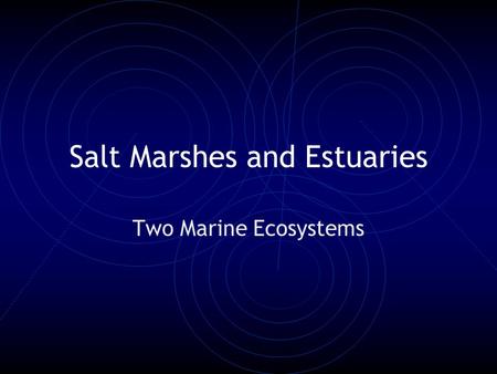 Salt Marshes and Estuaries Two Marine Ecosystems.