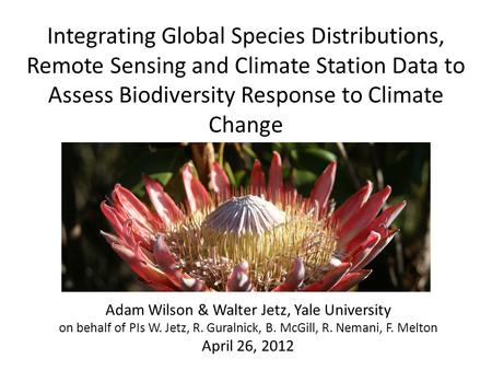 Integrating Global Species Distributions, Remote Sensing and Climate Station Data to Assess Biodiversity Response to Climate Change Adam Wilson & Walter.