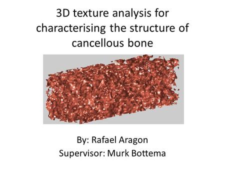 3D texture analysis for characterising the structure of cancellous bone Picture in the middle By: Rafael Aragon Supervisor: Murk Bottema.