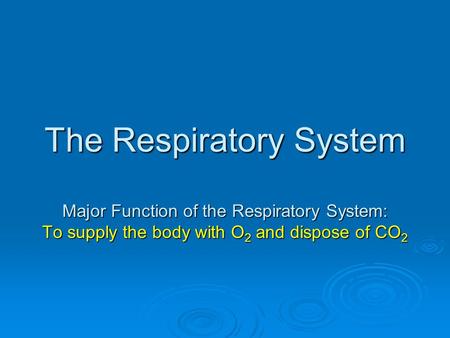The Respiratory System Major Function of the Respiratory System: To supply the body with O 2 and dispose of CO 2.