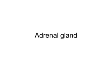 Adrenal gland. Anatomy Components Two compartments –Adrenal Cortex (outer layer) Three layers –Zona glomerulosa (15 %) –Zona fasciculata (75 %) –Zona.