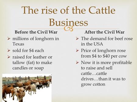  The rise of the Cattle Business Before the Civil War  millions of longhorn in Texas  sold for $4 each  raised for leather or tallow (fat) to make.