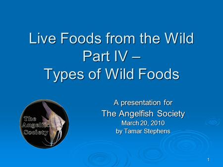 1 Live Foods from the Wild Part IV – Types of Wild Foods A presentation for The Angelfish Society March 20, 2010 by Tamar Stephens.