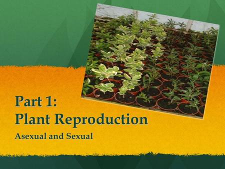 Part 1: Plant Reproduction