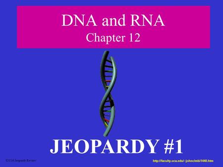 DNA and RNA Chapter 12 JEOPARDY #1 S2C06 Jeopardy Review