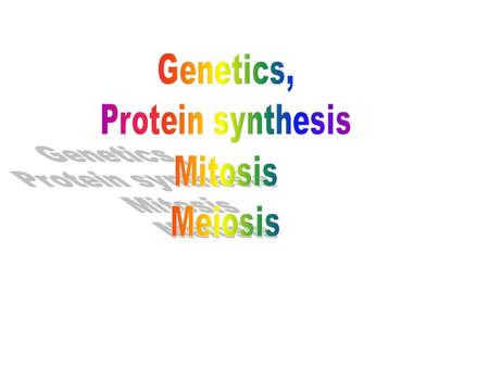 County Test Genetics, mitosis, meiosis & protein synthesis. Genetics,