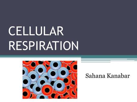 CELLULAR RESPIRATION Sahana Kanabar. The Difference between cellular respiration and breathing Although they are part of the same process, breathing is.