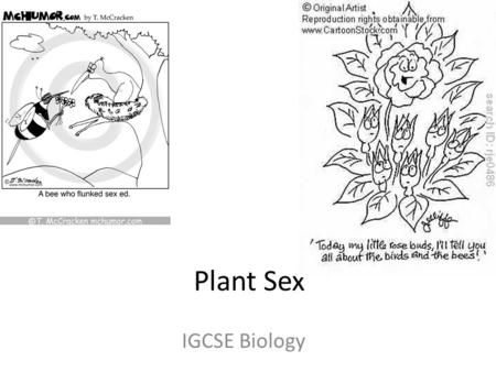Plant Sex IGCSE Biology.