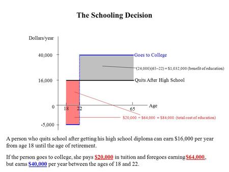 The Schooling Decision