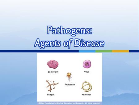 Pathogens: Agents of Disease