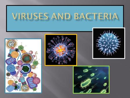 Viruses and bacteria.