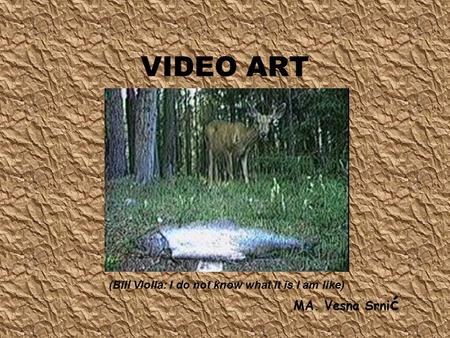 VIDEO ART ¸ MA. Vesna Srni ć (Bill Violla: I do not know what it is I am like)