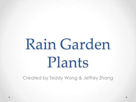 Rain Garden Plants Created by Teddy Wong & Jeffrey Zhang.