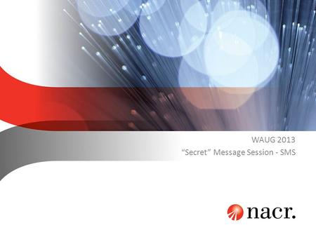 WAUG 2013 “Secret” Message Session - SMS. SMS = “Secret” Message Session Topic #1 – Single Number Service & SMS.