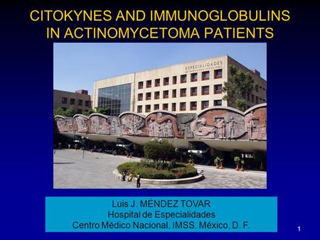CITOKYNES AND IMMUNOGLOBULINS IN ACTINOMYCETOMA PATIENTS 1 Luis J. MÉNDEZ TOVAR Hospital de Especialidades Centro Médico Nacional, IMSS. México, D. F.