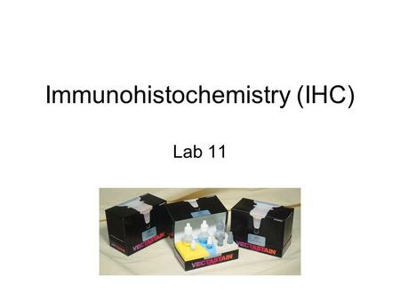 Immunohistochemistry (IHC) Lab 11. IHC IHC refers to the process of detecting antigens in cells of a tissue section by exploiting the principle of antibodies.