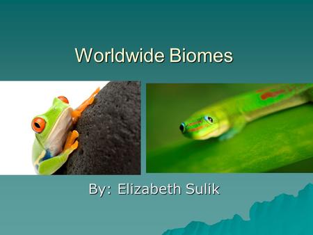 Worldwide Biomes By: Elizabeth Sulik. Tropical Rainforest Biome  Rainforests receive 3 meters of rainfall each year.  Average temperature is 26 c. 