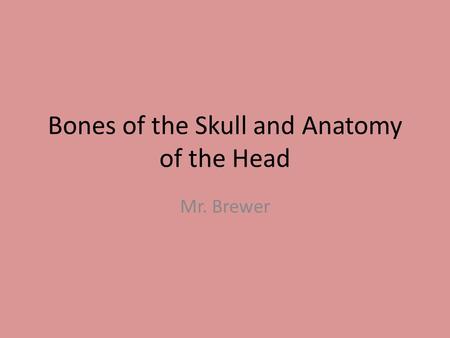 Bones of the Skull and Anatomy of the Head Mr. Brewer.