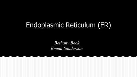 Endoplasmic Reticulum (ER) Bethany Beck Emma Sanderson.