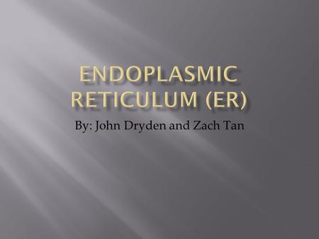 By: John Dryden and Zach Tan. Structure The Endoplasmic Reticulum, also known as ER, is a membrane system made up of folded sacs and interconnected channels.
