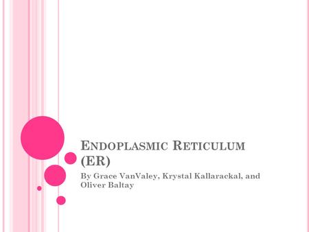 E NDOPLASMIC R ETICULUM (ER) By Grace VanValey, Krystal Kallarackal, and Oliver Baltay.