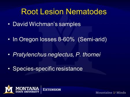 Root Lesion Nematodes David Wichman’s samples In Oregon losses 8-60% (Semi-arid) Pratylenchus neglectus, P. thornei Species-specific resistance.