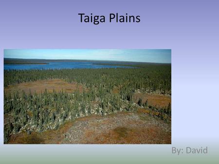 Taiga Plains By: David. Climate The taiga plains have a very short summer The summer temperature is usually around 7ºC in the north to 14ºC in the south.
