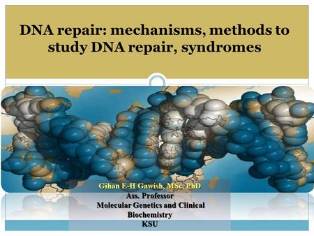 Gihan E-H Gawish, MSc, PhD Ass. Professor Molecular Genetics and Clinical Biochemistry Molecular Genetics and Clinical BiochemistryKSU DNA repair: mechanisms,
